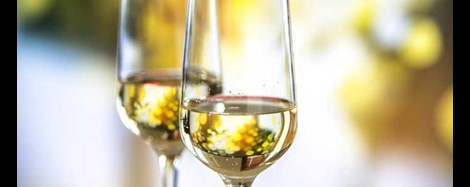>What is Prosecco? A beginner's Guide to Britain's Favourite Fizz                                                                                                                                                                                          